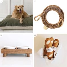 there are four different items that include dog leash, bowl holder, and stuffed animal