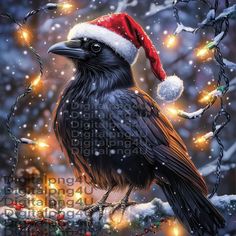 a black bird wearing a santa hat on top of a tree with christmas lights in the background