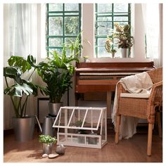 a room with plants and a piano in the corner on the floor next to it