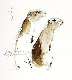 two brown and white animals sitting next to each other on top of a white surface