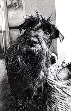 a black and white drawing of a dog sitting next to a basket