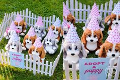 several stuffed dogs wearing birthday hats and sitting in front of a picket fence with a sign that says adopt a puppy