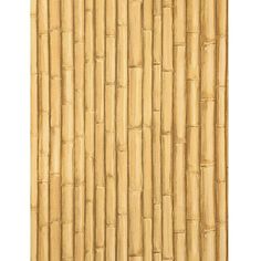 an image of a bamboo wallpaper pattern