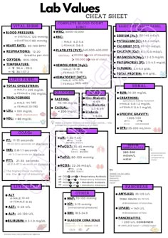 the lab value sheet is shown in purple and black, with white writing on it