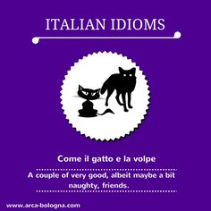 a poster with an image of two cats and the caption italian idioms