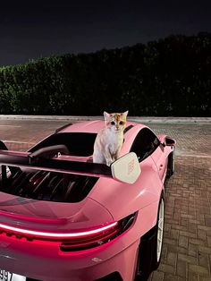 a cat sitting on top of a pink sports car