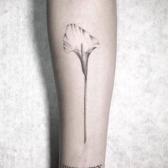 a single flower tattoo on the right leg and it's petals are drawn in black ink