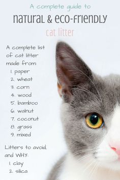 the complete guide to natural and eco - friendly cat litter