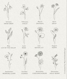 the different types of wildflowers and their names are shown in this hand drawn illustration