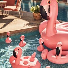 an inflatable pool with flamingos floating on the water and chairs around it