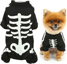 a small dog wearing a skeleton shirt