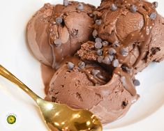 two scoops of chocolate ice cream on a white plate with a gold spoon next to it