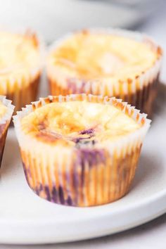 several blueberry muffins on a white plate