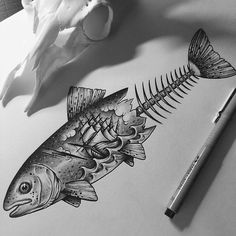 a pencil drawing of a fish on top of a piece of paper next to a flower