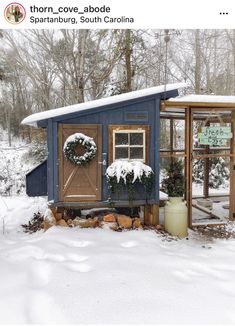 a small blue shed with wreaths on the door and windows in snow covered yard