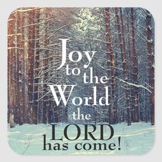 a snowy forest with the words joy to the world, the lord has come on it