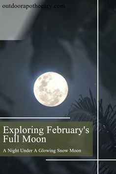 an image of the full moon with text over it that reads exploring february's full moon