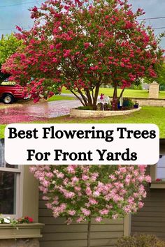 the best flowering trees for front yard in spring and summer, including pink azaleas