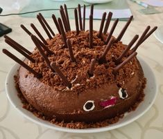 a cake with chocolate frosting and spiky sticks on it's face