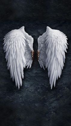 black and white photograph of two angel wings