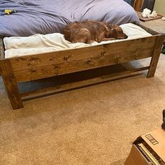 a dog laying on top of a bed in a room