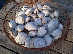 a basket filled with sea shells sitting on top of a wooden deck