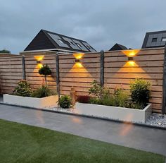 an outdoor garden with lights on the side of it and plants growing in planters