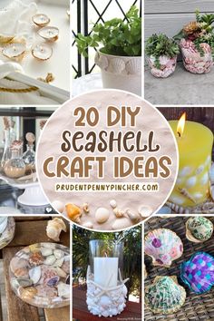 20 diy seashell craft ideas that are easy to make and great for home decor