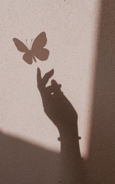 the shadow of a person's hand holding a butterfly