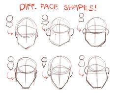 how to draw the face shape with different angles and shapes for each part of the head