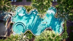 an aerial view of a swimming pool surrounded by palm trees and other greenery in the foreground