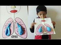 a young boy holding up a cut out of his lungs