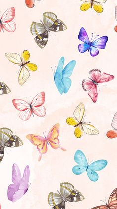 many colorful butterflies flying in the air on a light pink background with watercolor effect