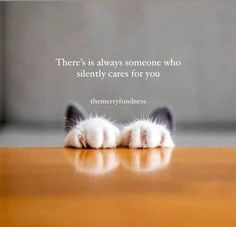 there is always someone who silently cares for you