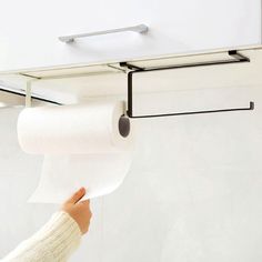 a person holding a roll of toilet paper in front of a wall mounted towel dispenser