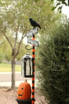 a black bird sitting on top of a street sign next to a pumpkin and tree