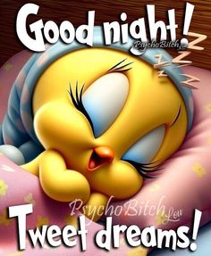 a yellow bird sleeping on top of a pink pillow with the caption good night