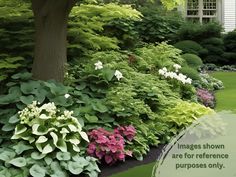 an image of a garden with flowers and trees in the foreground text reads images shown are for reference purposes only