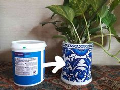 a potted plant sitting next to a blue and white container