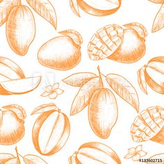 seamless pattern with apricots and leaves on white background, hand drawn illustration