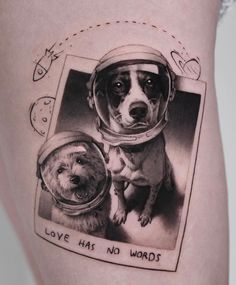 a dog wearing an astronaut's helmet with another dog in front of it that says love has no words