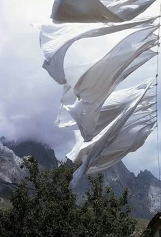 white flags blowing in the wind on a cloudy day