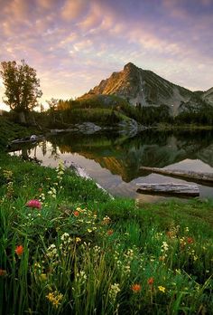 a lake surrounded by grass and flowers with mountains in the background