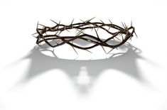 a crown of thorns casting a shadow on a white background