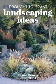 the front cover of a book with plants and shrubs in it, which are surrounded by concrete