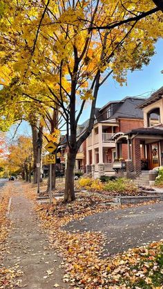 an autumn scene with leaves on the ground and houses in the background, including trees