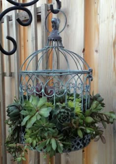 a birdcage filled with succulents hanging from the side of a fence