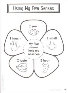 the four parts of a flower that are used to teach children how to use their hands