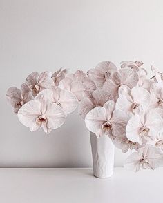 two white vases filled with pink flowers on top of a table next to each other