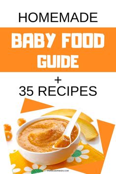 the homemade baby food guide and 35 recipes